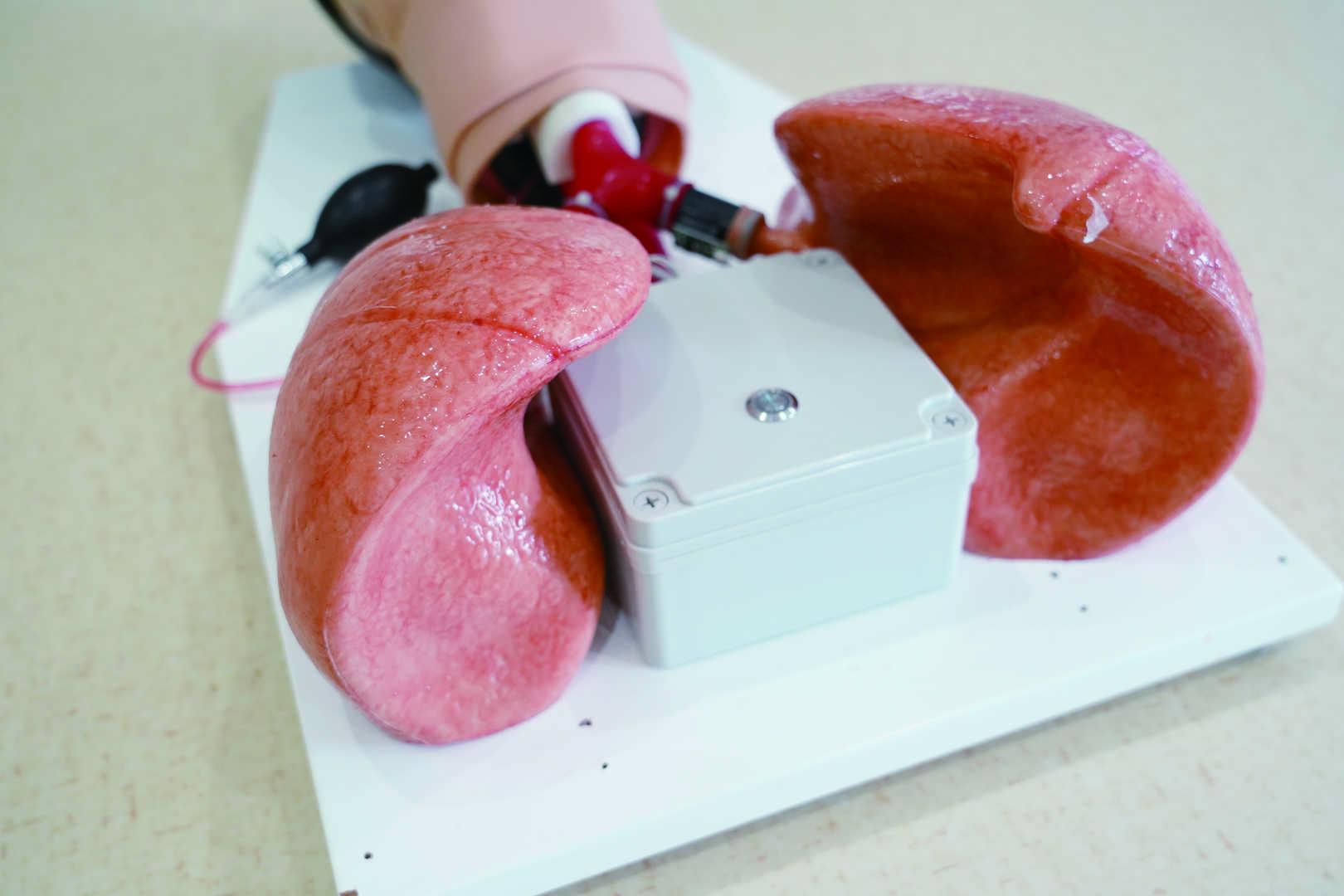 Comprehensive Airway Management Model